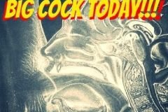 swallow-big-cock-today