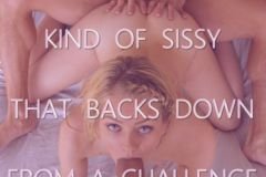 you-are-a-sissy-that-dont-backs-down-from-a-challenge