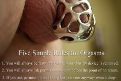Five-simple-rules-for-orgasms