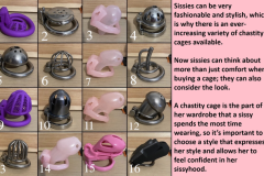 Variety-of-chastity-cages