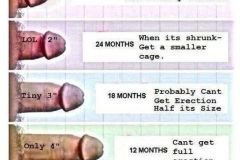 how-to-shrink-dick-size-by-a-long-time-male-chastity