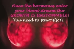 once-the-hormones-enter-your-blood-stream