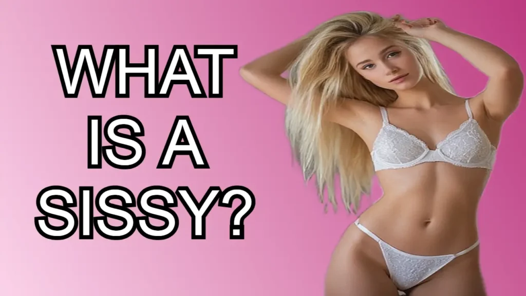 What is a sissy beginners guide