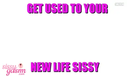 Get used to your new life sissy